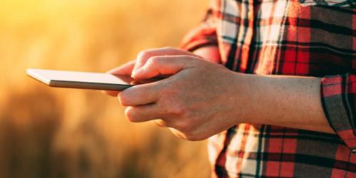 Ruralvia app - Manos cogiendo un móvil para consultar ruralvía móvil